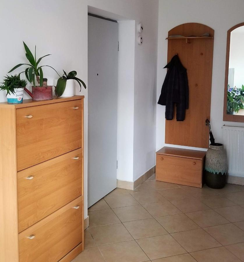 Appartamento New Pest Apartman Budapest Esterno foto