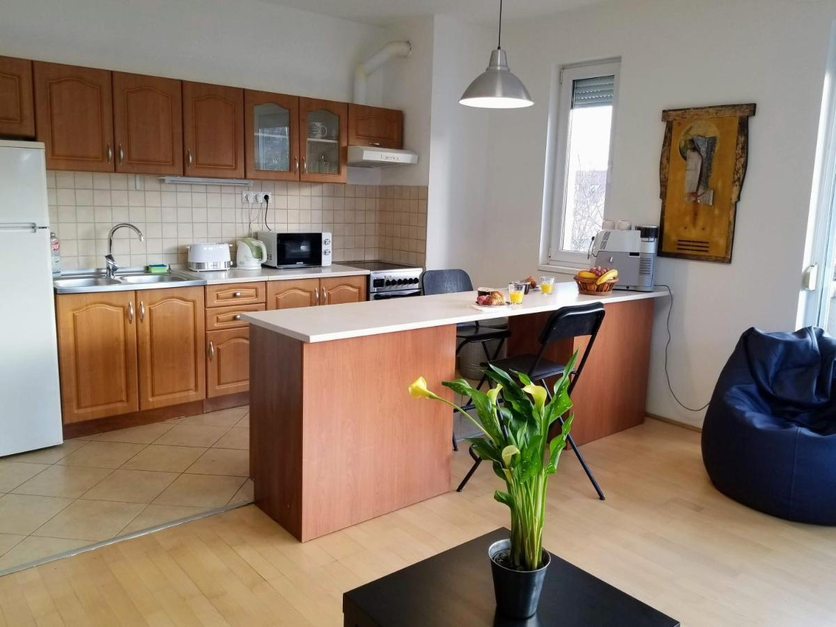 Appartamento New Pest Apartman Budapest Esterno foto